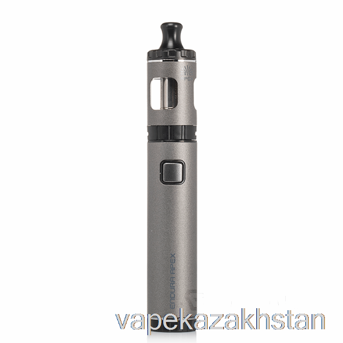 Vape Smoke Innokin Endura Apex Starter Kit Grey